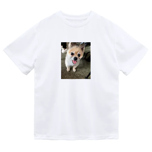 保護犬のふぅちゃん ドライTシャツ