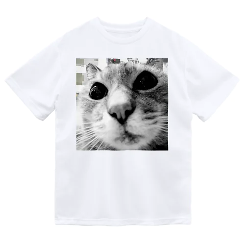 二代目猫 ドライTシャツ