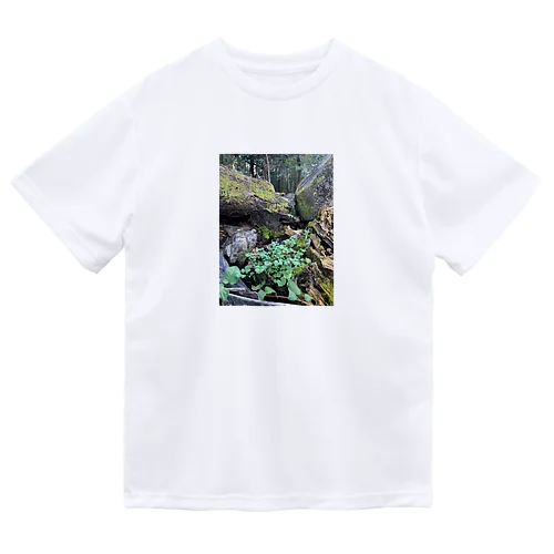 多様性の森 Dry T-Shirt