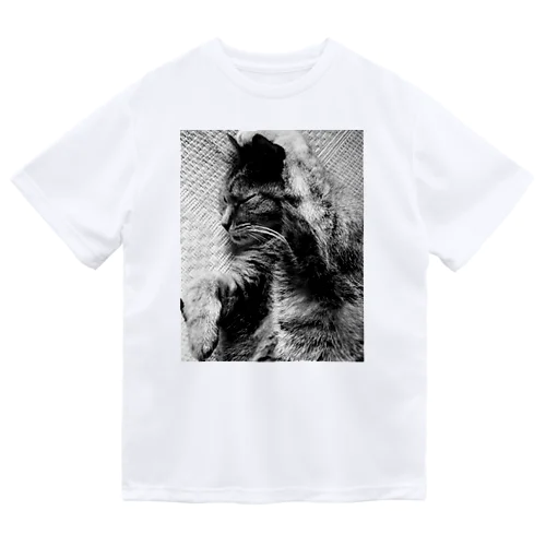 二代目猫・シェー Dry T-Shirt