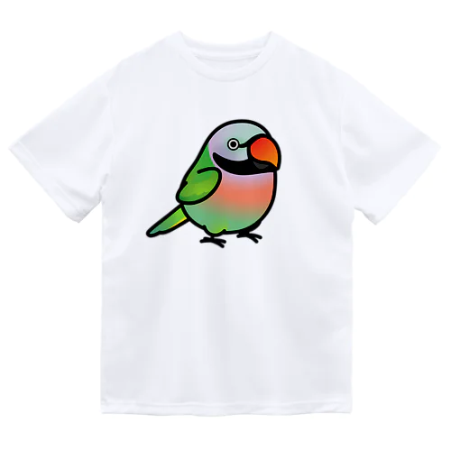 Chubby Bird ダルマインコ（男の子） ドライTシャツ