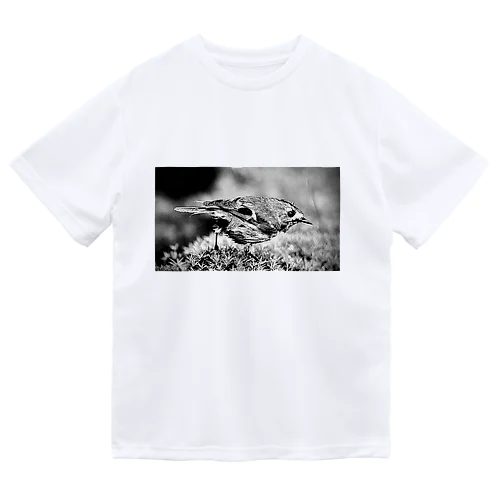 キクイタダキ1 Dry T-Shirt