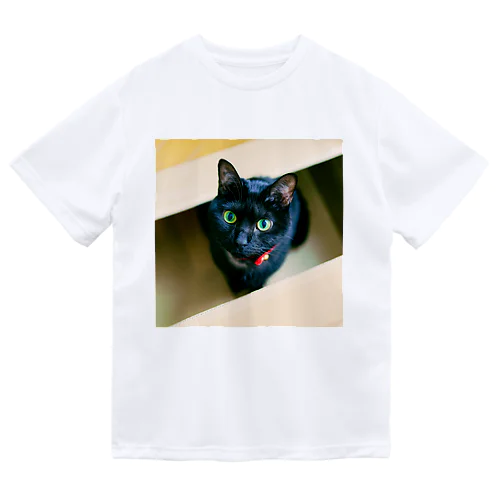 ダンボールソムリエの黒猫。 ドライTシャツ