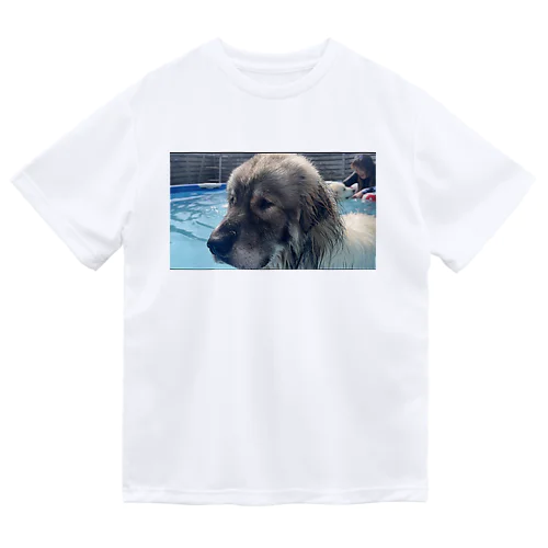 アシタカグッズ Dry T-Shirt
