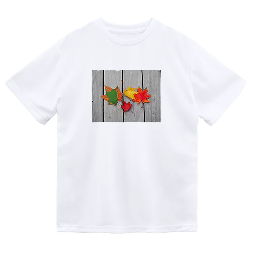 紅葉　秋 Dry T-Shirt