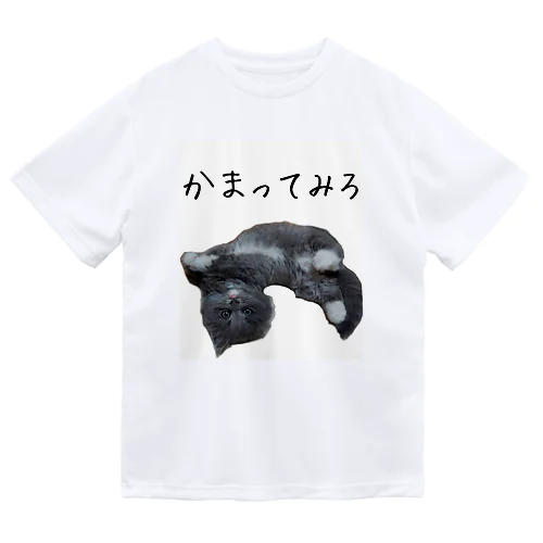 かまって かいねこ ドライTシャツ