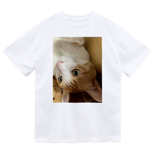 コロリンもも　ねこ ドライTシャツ