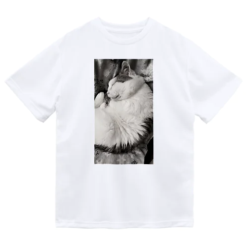 可愛い猫のお昼寝　癒し Dry T-Shirt