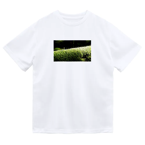 苔苔くん Dry T-Shirt