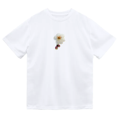 白。 Dry T-Shirt