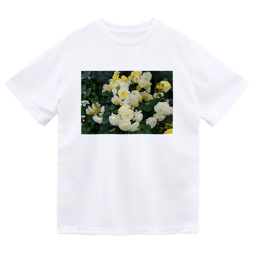 黄色い薔薇の花 Dry T-Shirt