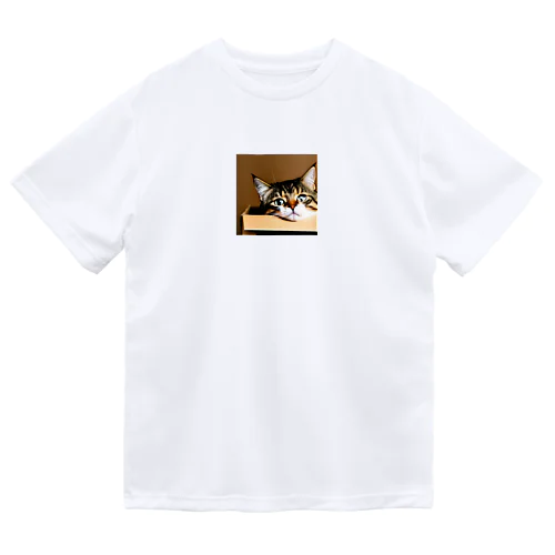 箱に入った可愛い猫 Dry T-Shirt