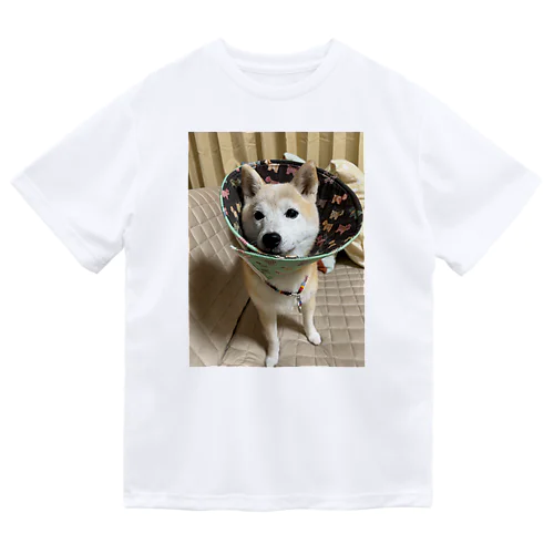 エリザベスカラー柴犬 ドライTシャツ