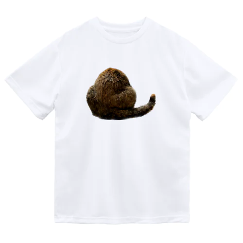 🌰 ドライTシャツ