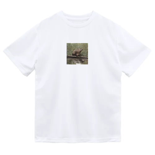 ビーバー　beaver Dry T-Shirt