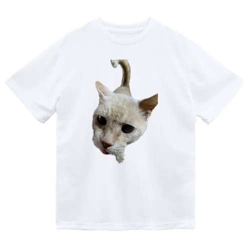 のらねこ・よん君 ドライTシャツ