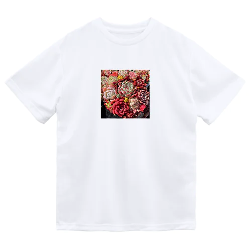 華やかなエケベリア Dry T-Shirt