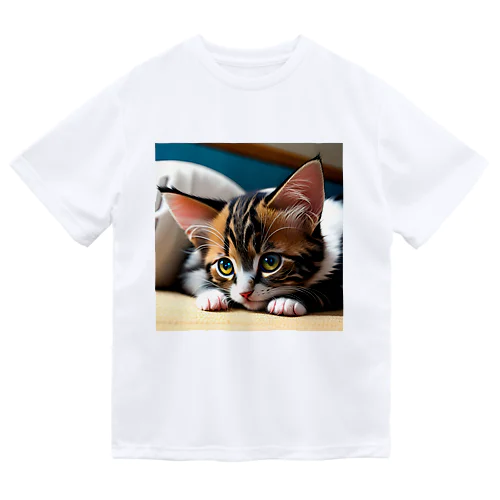 見つめる子猫 ドライTシャツ