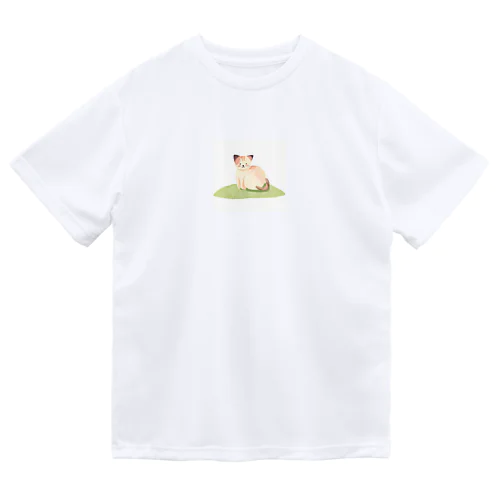 子猫 ドライTシャツ