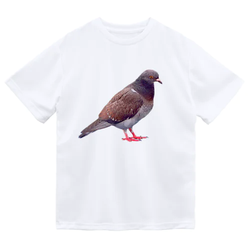 【平和祈願】公園にいる鳩 ドライTシャツ