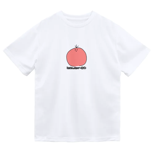 とめぃとぅー田中 Dry T-Shirt