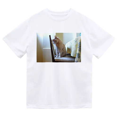 ねこかわたすかる9 Dry T-Shirt