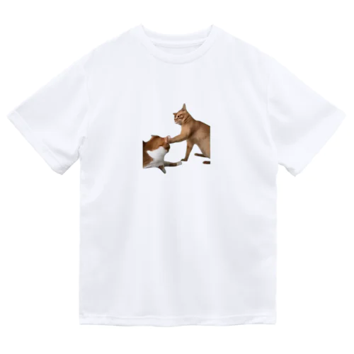 【猫ミーム】叩かれる猫と叩く猫 Dry T-Shirt