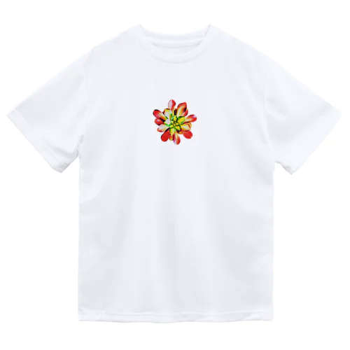 Succulents series アエオニウム Dry T-Shirt