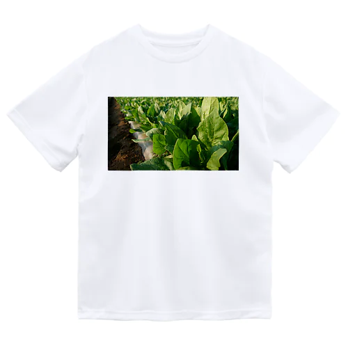 ほうれん草 ドライTシャツ