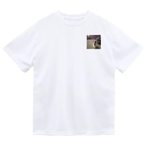 愛犬 Dry T-Shirt