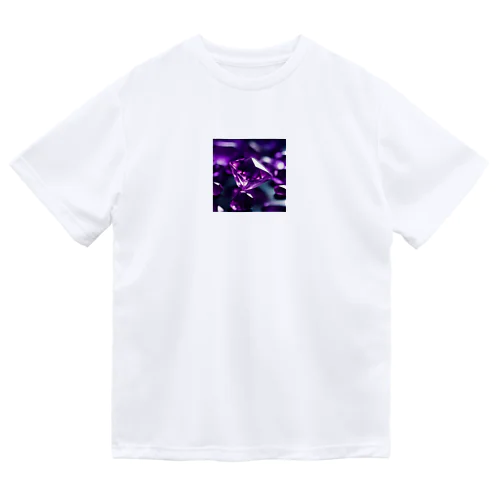 誕生石 Dry T-Shirt