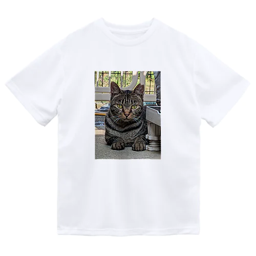 さくら猫のCHAR(シャア) Dry T-Shirt