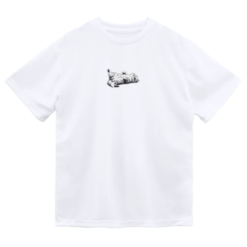 ねこごろり/モノクロ Dry T-Shirt