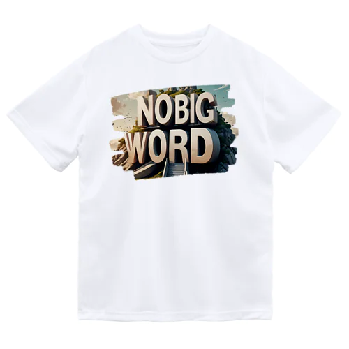 No Big Wordっていうワードだけでも覚えて帰ってください🤭🤍 Dry T-Shirt