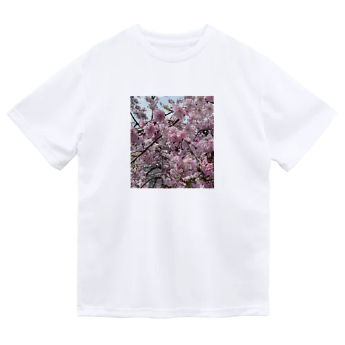 2024枝垂れ桜 ドライTシャツ