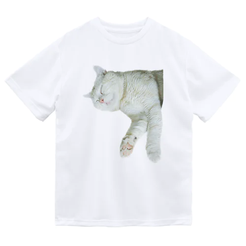 きいちゃんすやすやグッズ Dry T-Shirt