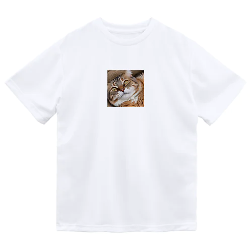 強面にゃんこ！ Dry T-Shirt