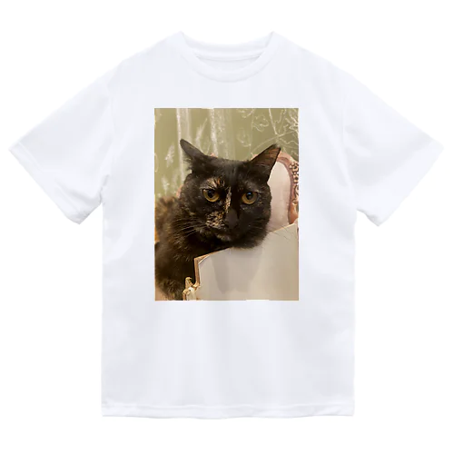 ねこにゃんにゃん ドライTシャツ