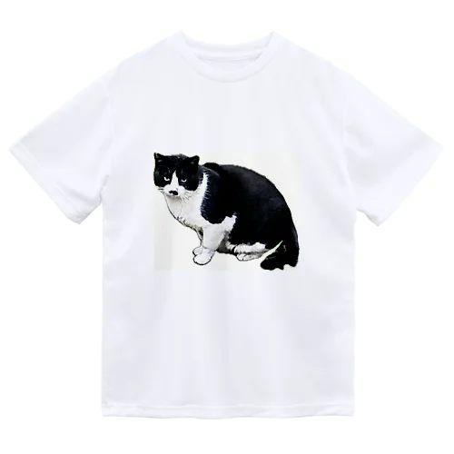 近所の野良猫 ドライTシャツ