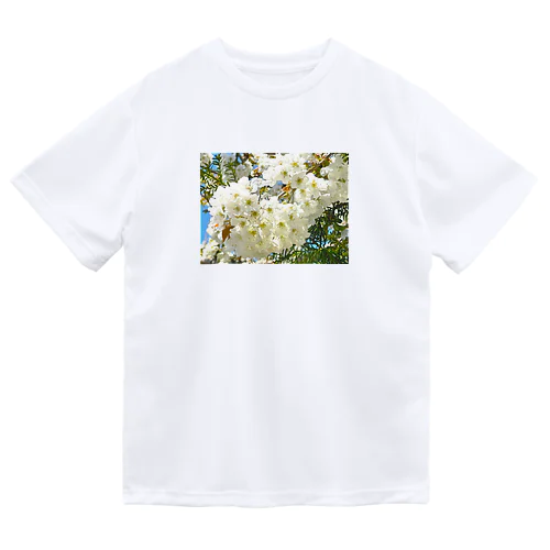 白桜 Dry T-Shirt