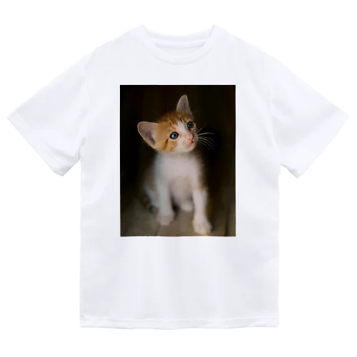 考える　猫ちゃんー Dry T-Shirt