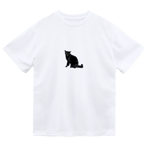 ヘタレな黒猫男子 Dry T-Shirt