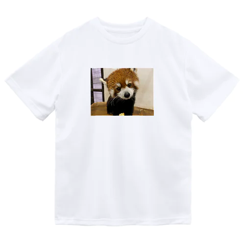 レッサーパンダ Dry T-Shirt