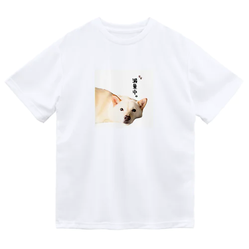 北海道犬ほたての減量中シャツ Dry T-Shirt