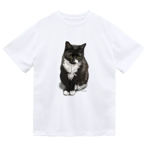 くつした猫のくろみつ Dry T-Shirt