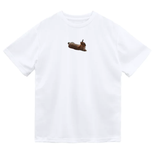 うさぎ Dry T-Shirt