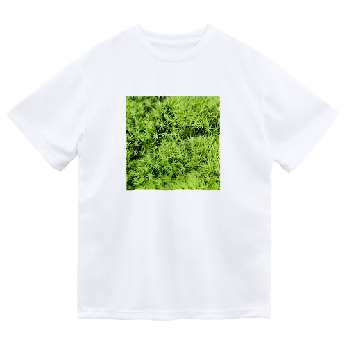 苔グッズ（タマゴケ玉つき） Dry T-Shirt