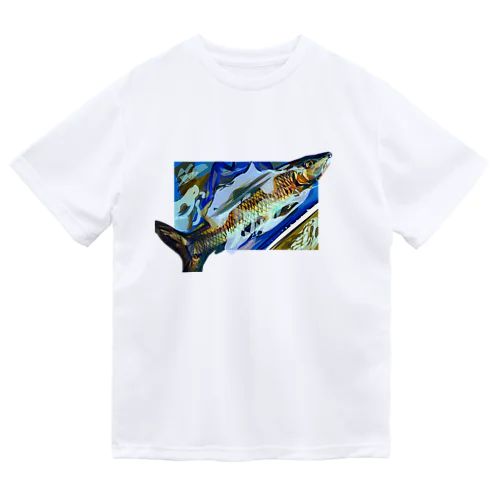 ニゴイ Dry T-Shirt