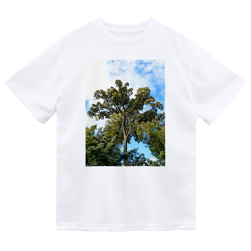 木 Dry T-Shirt