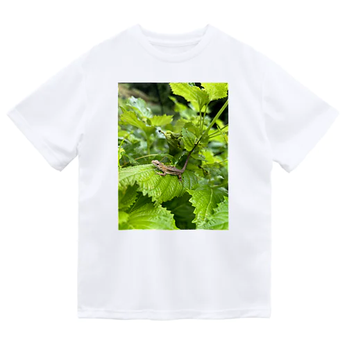 トカゲちゃん Dry T-Shirt